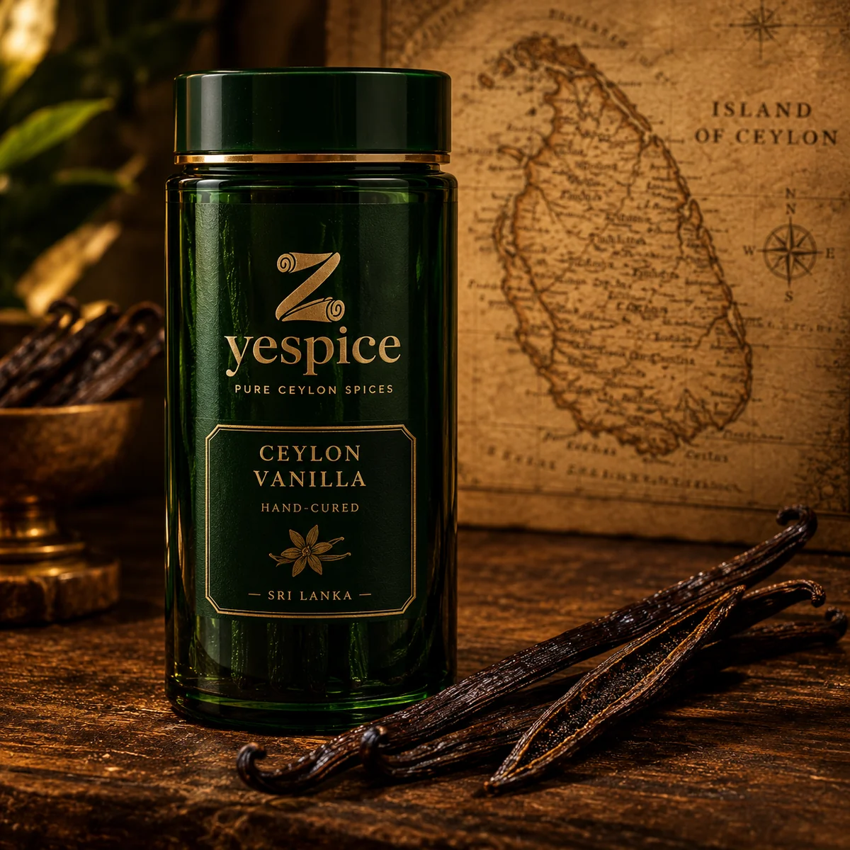 Zyespice Ceylon Vanilla pods in premium dark green glass jar